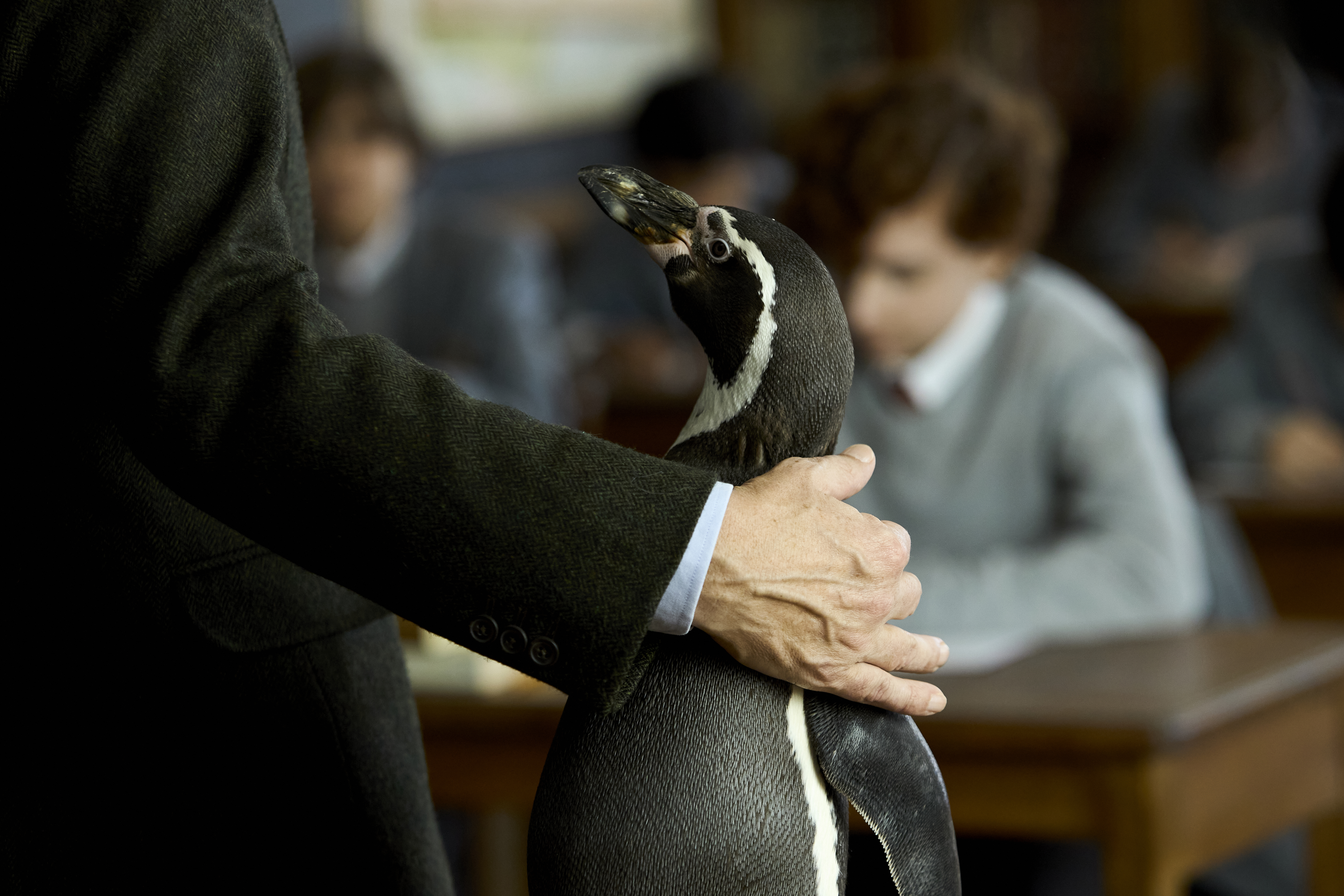 escena de la película en la que el pingüino mirá al profesor
