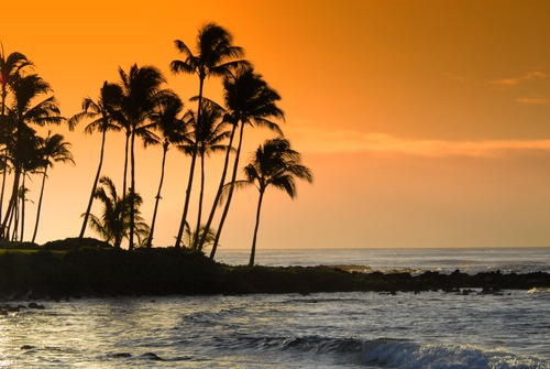 hawai.jpg