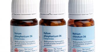Las Sales de Schüssler
