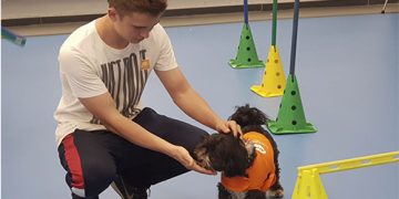 Adiestramiento canino