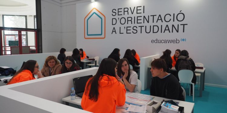 Claves de la orientación académica.