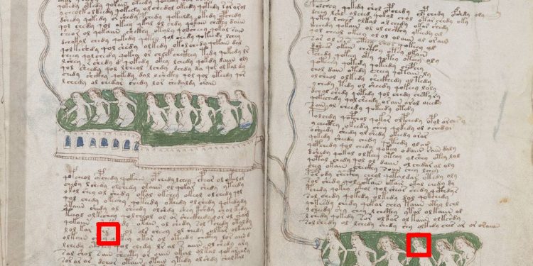 El último manuscrito por descifrar