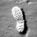 Conoces la filosofía Moonshot