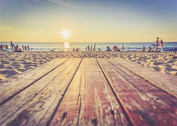Profesores y alumnos, todos a estudiar este verano
