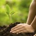 Programa educativo medioambiental en Japón