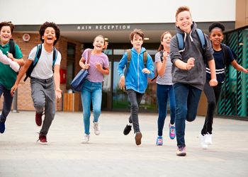 Adiós al curso del ChatGPT y otras andanzas