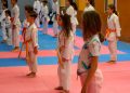 Las artes marciales desaparecen de la oferta escolar