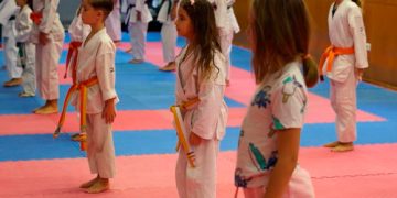 Las artes marciales desaparecen de la oferta escolar