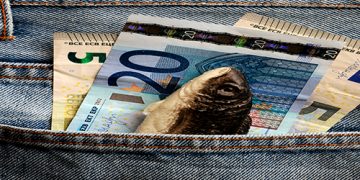 La LOSU provoca precariedad laboral y científica