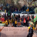 Huelgas de profesores y PAS por todo el país